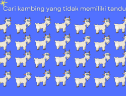 7 Tebak Gambar Ini Easy Banget, Gagal Temukan Perbedaannya? Fix Butuh Kacamata