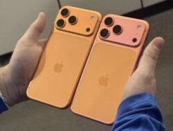 HP 44 Juta Luntur Karena Itu Pink, Gagal Konek, AI Eror