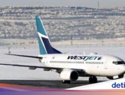 Maskapai yang Aneh, Penumpang Mau Rebahkan Bangku Malah Disuruh Bayar