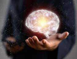 Studi Ungkap Para ‘Night Owl’ Punya Otak Lebih Encer Dibanding ‘Early Bird’