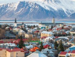 Pertama Kalinya Nyamuk Ditemukan Hingga Islandia, Pertanda Apa?