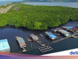 Kemenhut Janji Percepat Pengakuan 1,4 Juta Ha Hutan Adat