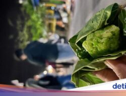 Uniknya Tape Ketan Kemiri, Jajanan Khas Desa Kemiren yang Harum