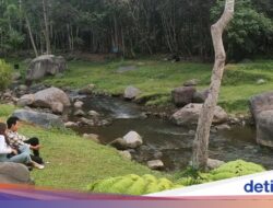 Pesona Ledok Sambi, Sejuk dan Adem Cocok Untuk Liburan Keluarga