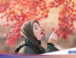 Potret Cantiknya Natasha Rizky Cs Liburan Di Korea Selatan