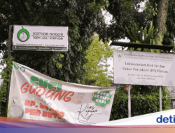 Unik, Kafe Di Di Kebun Kelapa Kopyor Di Bogor