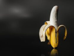 Variasi Orgasme Pria Dibongkar Pakar Seks, Ternyata Ada 5 Jenis Berbeda