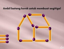 Tantangan Geser Batang Korek Ini Katanya Mudah buat IQ Tinggi, Kamu Termasuk?