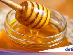 Madu Asli atau Palsu? Coba 5 Tes Sederhana Ini Di Rumah