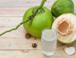 Catat, Ini Waktu Terbaik Untuk Minum Air Kelapa