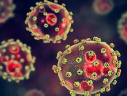 ‘Super Flu’ Sudah Masuk RI, Praktisi Medis Bicara Kemungkinan Tulari Lebih Didalam 3 Orang