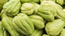 Manfaat Tak Terduga Di Labu Siam, Bisa Bantu Cegah 4 Gangguan Ini