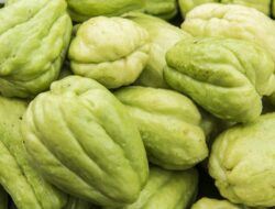 Manfaat Tak Terduga Di Labu Siam, Bisa Bantu Cegah 4 Gangguan Ini