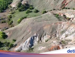 Mengejutkan! Tambang Emas Ilegal Ditemukan Disekitar TN Komodo, Sudah Jalan 15 Tahun