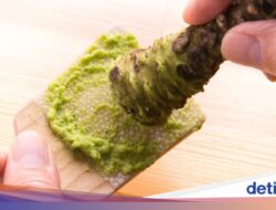 Gimana Rasa Wasabi? Condiment Jepang yang Banyak Dicari Ke Google 2025