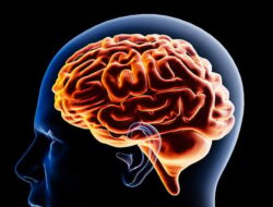 New York Akansegera Wajibkan Peringatan Kesejajaran Mental Bagi Semua Platform Sosmed