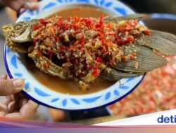 Bikin Betah! 7 Restoran Homey yang Punya Menu Nusantara dan Seafood Enak