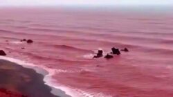 Warna Laut Teluk Persia Berubah Karena Itu Merah Darah