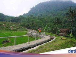 Fakta-fakta Menarik Perhatian Desa Wisata Melung