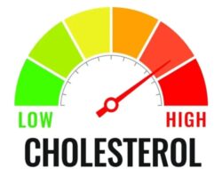 5 Cara Cegah Kolesterol Tinggi usai Konsumsi Hidangan Tahun Mutakhir