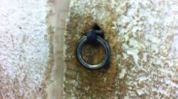 Dipercaya Bekas Besi Pengikatnya, Benarkah Buraq seperti Kuda Putih Bersayap?