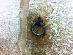 Dipercaya Bekas Besi Pengikatnya, Benarkah Buraq seperti Kuda Putih Bersayap?