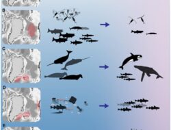 Ekosistem Menghilang, Hal Ini Lebih Menakutkan Di Wacana Trump Soal Greenland