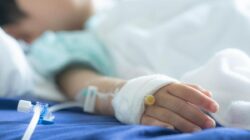 1 Bersama 7 Anak Di RI Terpapar Logam Berat Timbal, BRIN Beberkan Cara Mencegahnya