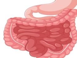 Jaga Mikrobiota Usus Tetap Seimbang, Ini Konsumsi yang Menyehatkan dan Perlu Dihindari