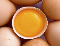 Kuning Telur Ternyata Berperan Penting Untuk Keadaan Otak, Ini Alasannya