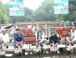 Rehabilitasi Mangrove, Kemenhut Perkuat Kelembagaan dan Kemitraan Iklim