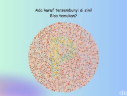 Jangan Sampai Terkecoh! Tes Buta Warna Ini Sekilas Terlihat Mudah