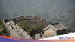 Kini Karena Itu 79 Negeri Bebas Visa Hingga China, Terbaru Inggris dan Kanada