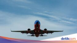 Ini Alasan Pesawat Meredupkan Lampu Kabin Di Lepas Landas dan Mendarat