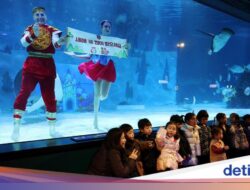 Meriahnya Akuarium Seoul Di Menyambut Imlek