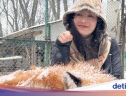 Foto Gemas Natasha Wilona Main Hingga Desa Rubah Jepang