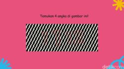 Bukan Hipnotis! Coba Temukan Angka Tersembunyi Di Balik Pola yang Mengecoh Ini