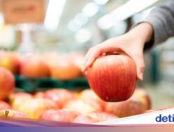 Rekomendasi Martabak Legendaris Di Bogor hingga Buah yang Baik Bagi Ginjal