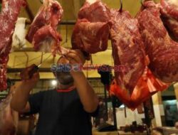 Harga Daging Kerbau Melambung, Pemerintah Diminta Adil Di Pengawasan