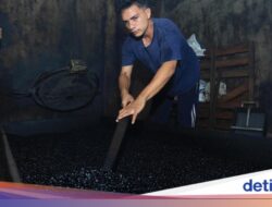 Proses Tradisional Olah Minuman Kafein Robusta Ke Banda Aceh