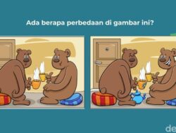 Temukan Perbedaan Ke Gambar Ini! Boleh Sambil Dizoom Kok Layarnya Kalau Perlu