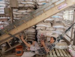 Dampak Konflik Bersenjata Iran, Harga Beras Asia Cetak Pencapaian Tertinggi Untuk Dua Tahun