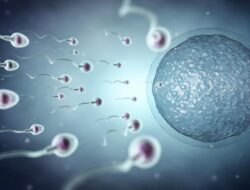 Kejuaraan ‘Balap Sperma’ Digelar Di AS, Bawa Pesan Kesadaran Kesuburan Pria