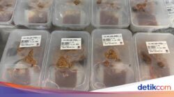 Menu ‘MBG’ ala Super Indo Makin Diminati, Praktis dan Terjangkau!