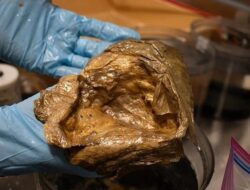 Misteri Telur Emas Diduga Yang Berhubungan Bersama Bersama Alien Terungkap