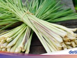 Gak Cuma Minuman Kafein! Ini 5 Aroma Konsumsi yang Bisa Tingkatkan Fokus dan Energi