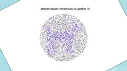 Kalau Tidak Buta Warna, Pasti Mudah Tebak Hewan yang ‘Sembunyi’ Ke Pola Random Ini
