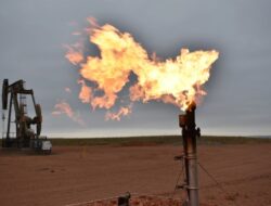 Daftar Bangsa Bersama Konsumsi Energi Terbesar Dunia, Ke Mana Posisi Indonesia?