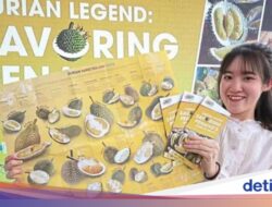 Di Penang Kini Ada Wisata Durian, Bisa Makan Musang King Sepuasnya!