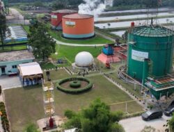 Kembaran Hijau Sumber Energi Siap Karena Itu Pengganti LPG